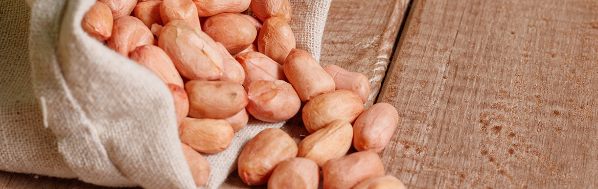 均衡花生濃香食用植物調(diào)和油 均衡花生濃香食用植物調(diào)和油